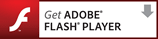 Adobe Flash Animated Stories